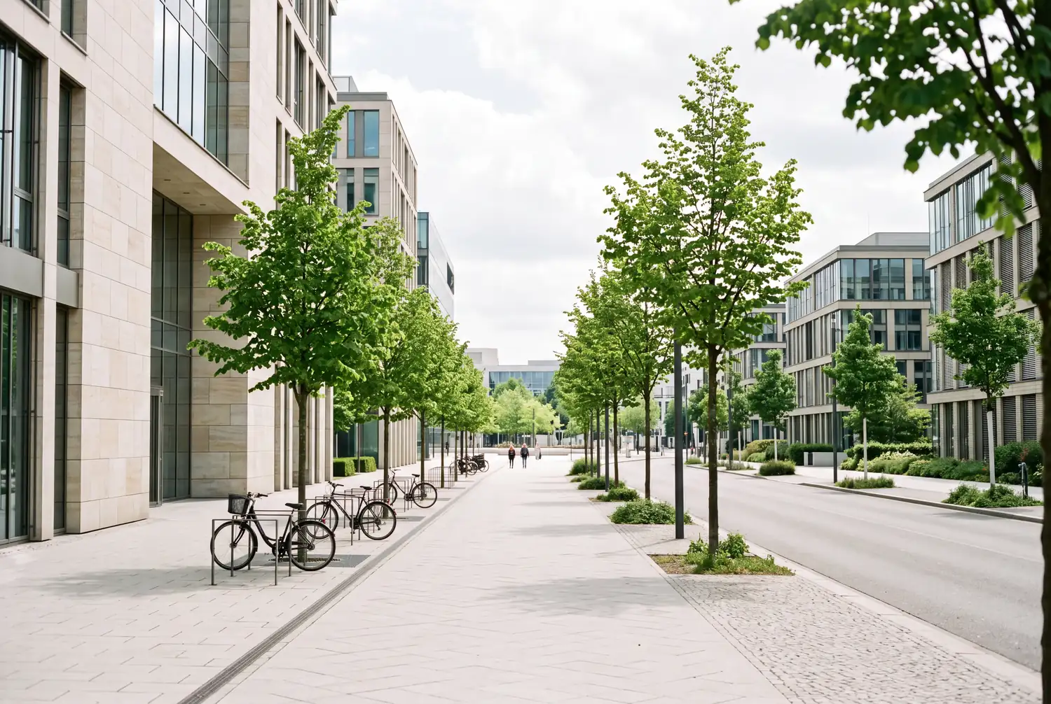 Straße in einem modernen Büroviertel mit hellen Glas- und Steinfassaden, jungen Bäumen und abgestellten Fahrrädern